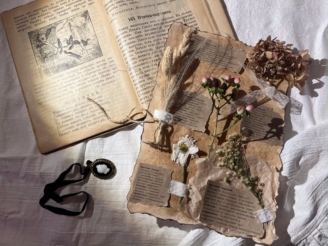 доп.гербари3