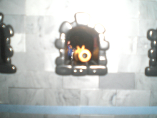 CIMG0931