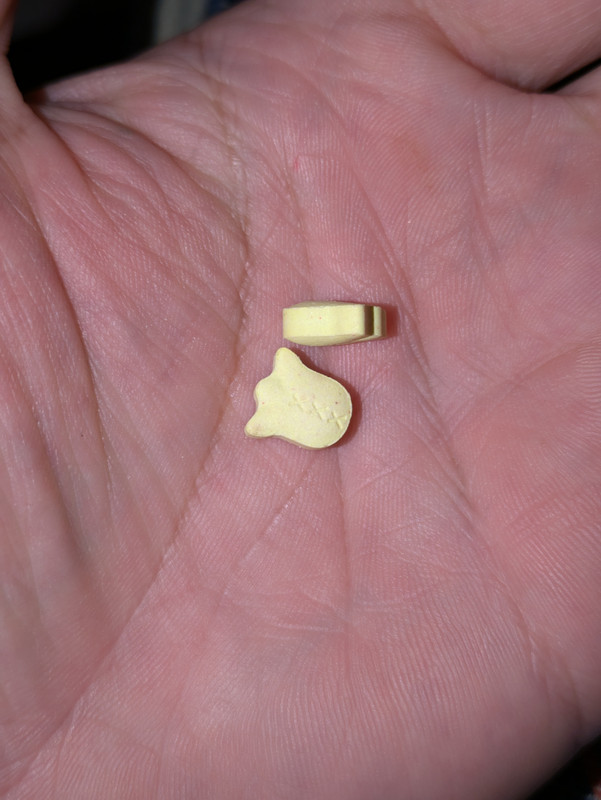 PXL_20241102_155713925