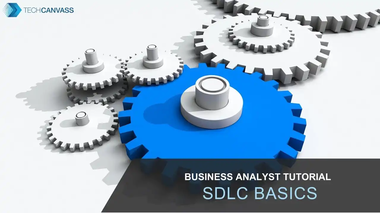 Software Development Life Cycle Methodologies (SDLC Basics)