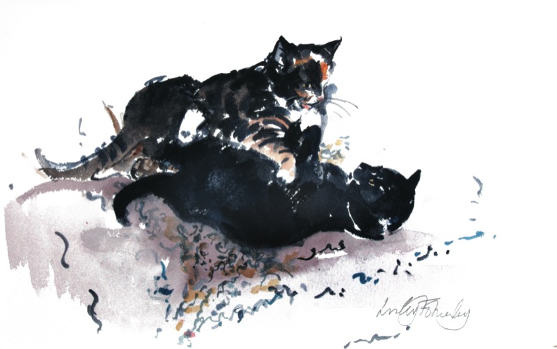 THREE-KITTENS-TUSSLING-1-lf285-1
