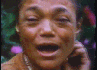 eafd79c.gif