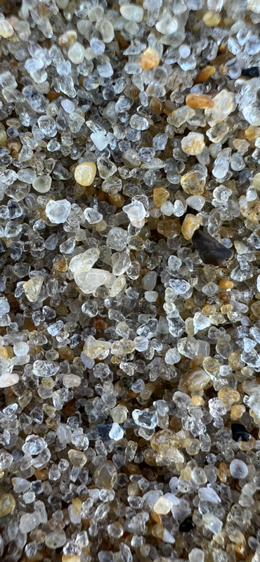 226E23DB-A262-4B58-9C8A-F275ED382D6D