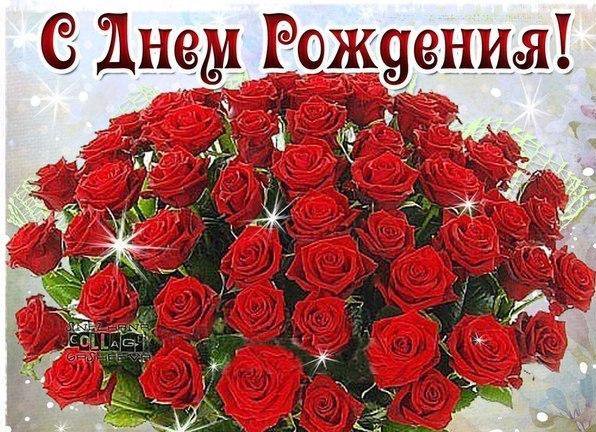 https://i.postimg.cc/fTc1pQML/22450299.jpg