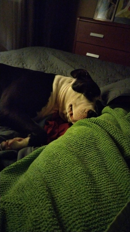 0964E798-3F82-4BD7-8784-3BDD0E461504