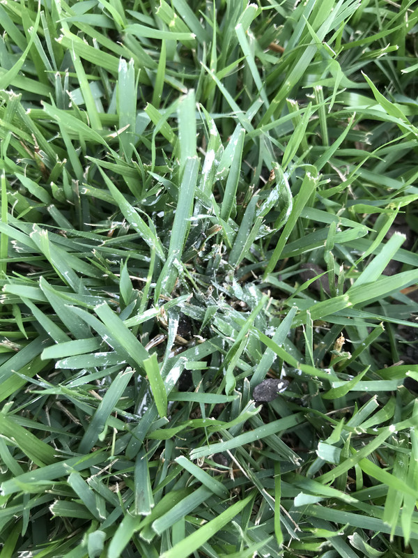 98257A4B-3E81-430E-98B0-31A65EC8FA1E