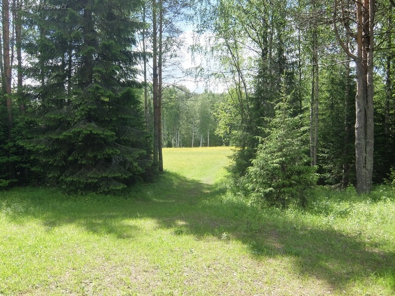 DSCF7877