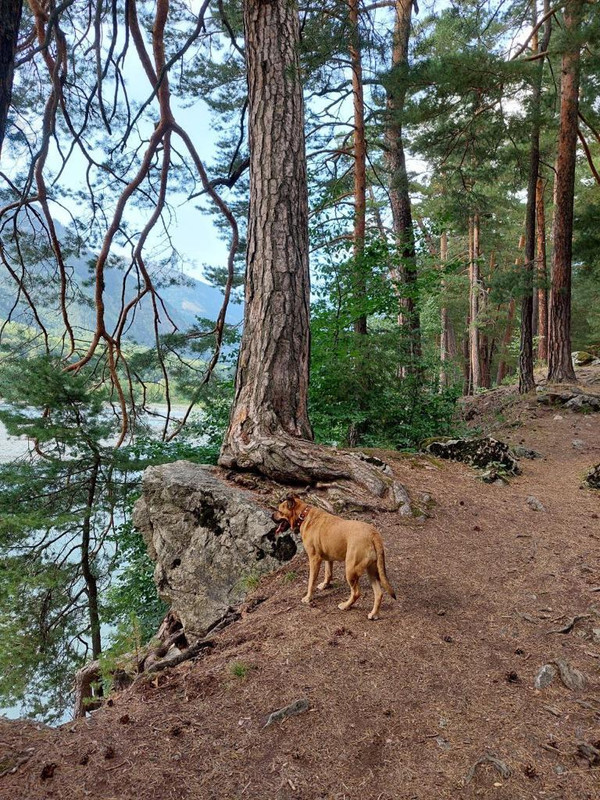 67850063-AE87-481E-A938-8A3AF1C75EE5