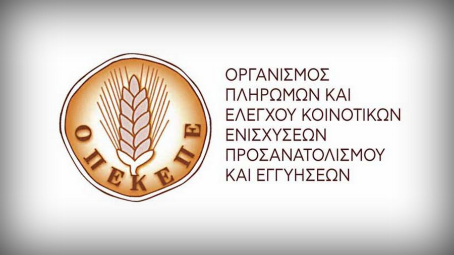 κοζάνη, ειδήσεις, νέα, Πτολεμαΐδα