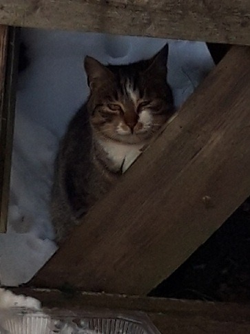 57A1FE80-1F98-4E82-9161-11F9D5042C7A