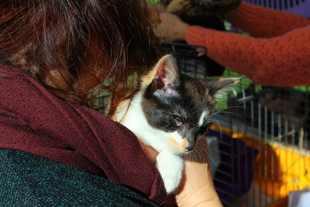 9B1B960C-5492-4A7F-9A0C-D4868F8256B8