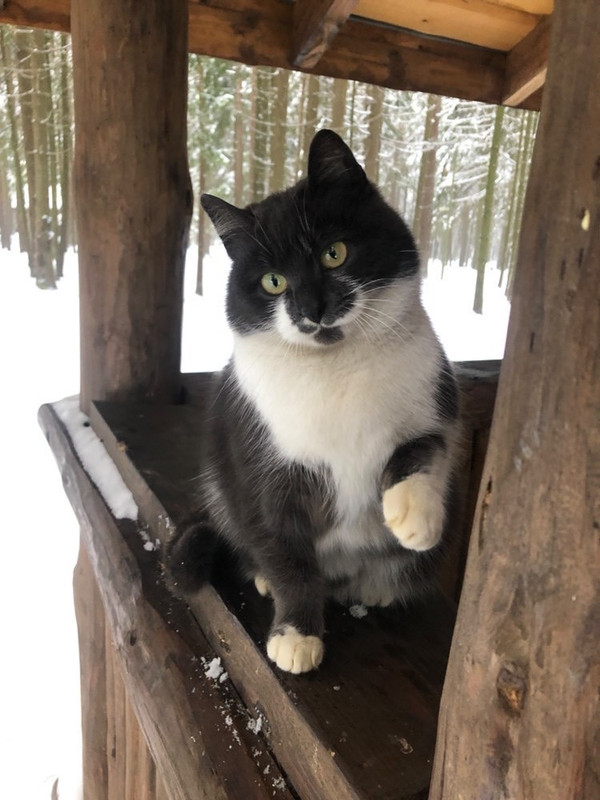 04408714-0FF8-4879-84DA-44CF20724F07