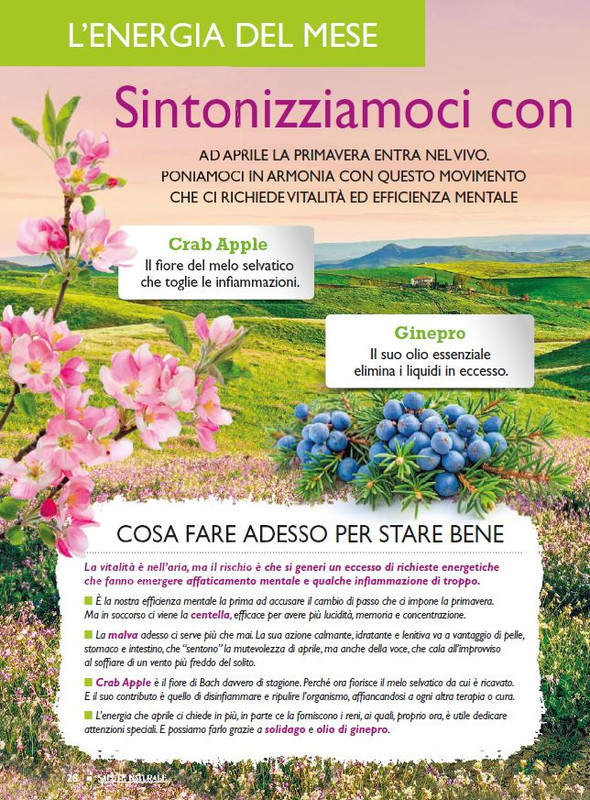 Sal Nat Apr 2026 (1)