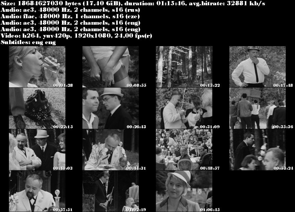 O slavnosti a hostech / The Party and the Guests (1966)