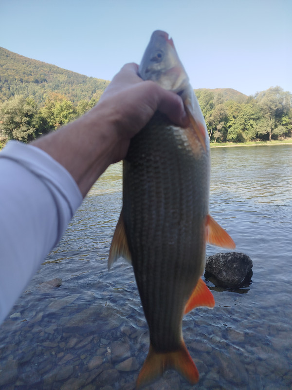 IMG 20260903 094354