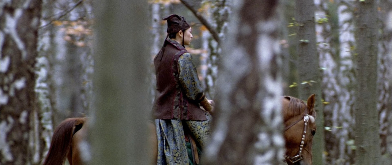 House of Flying Daggers 2004 (1080p x265 10bit T