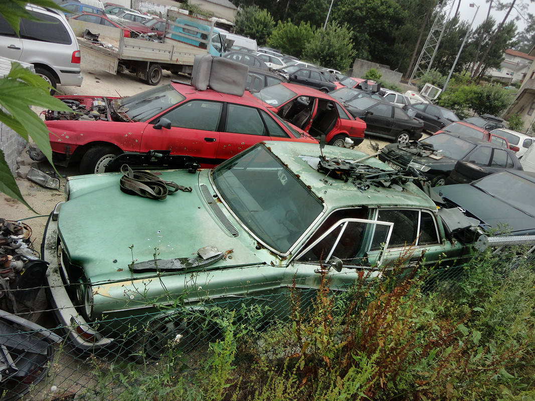 VOLVO164_TROFA_1806-2