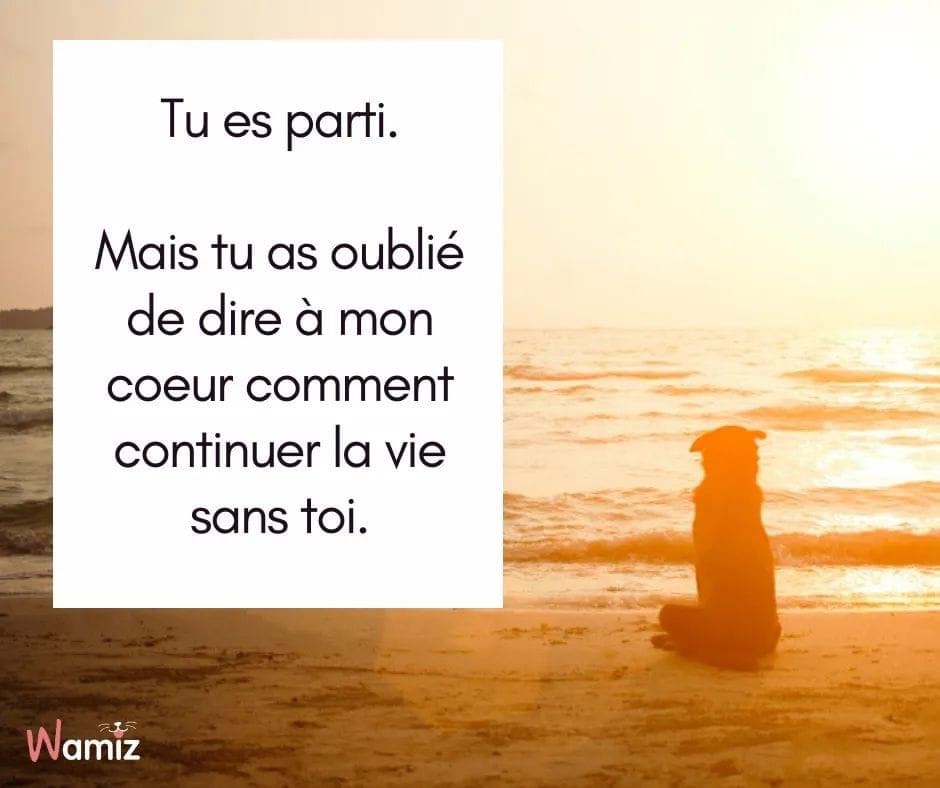 [Image: IMG-2098.jpg]