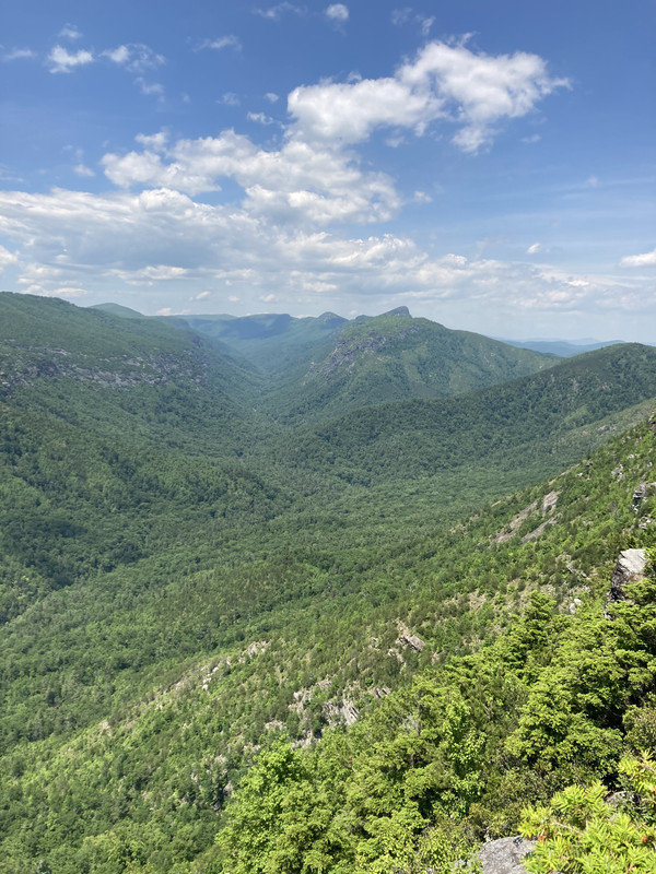 502D8529-8764-41E7-8623-87EBC5E9DDF8