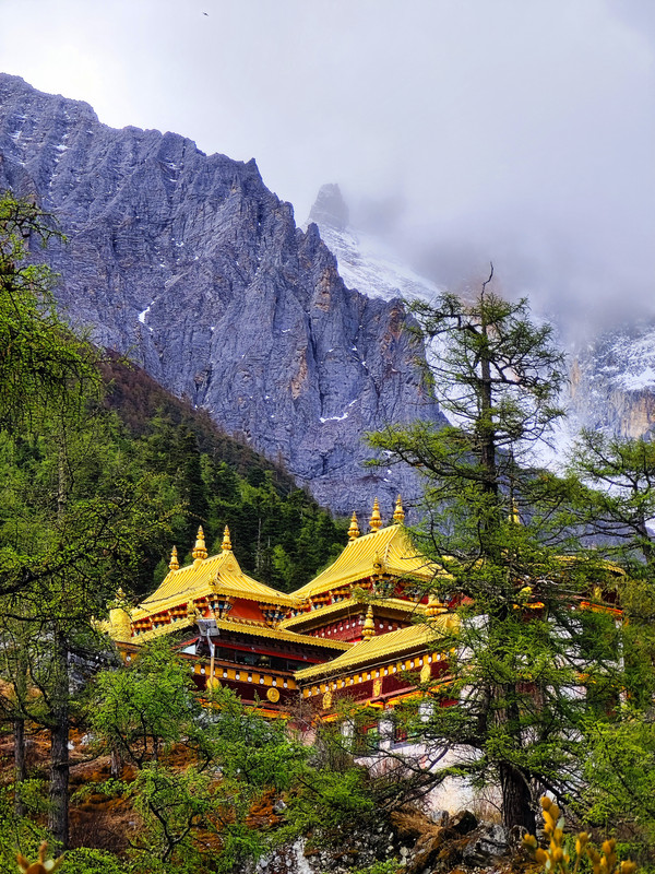 IMG_20230520_093329_副本