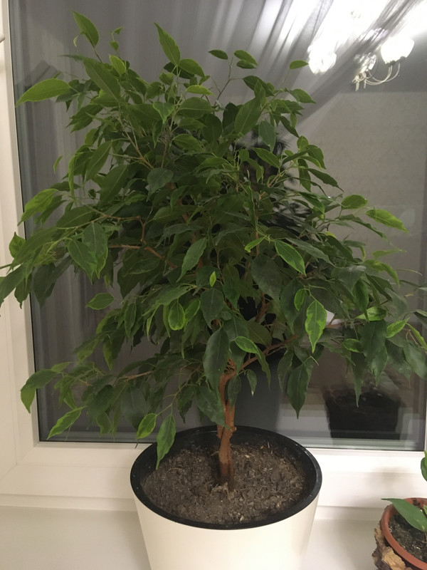 676BD277-44D7-4B3B-AAD2-317F8A9E6E33