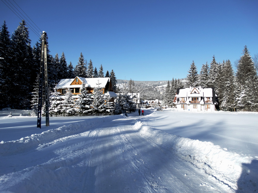 05.30 - DSC06275 (Czesio1)