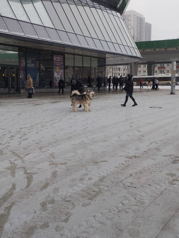 WhatsApp Image 2023-02-19 at 12.13.19 (2)