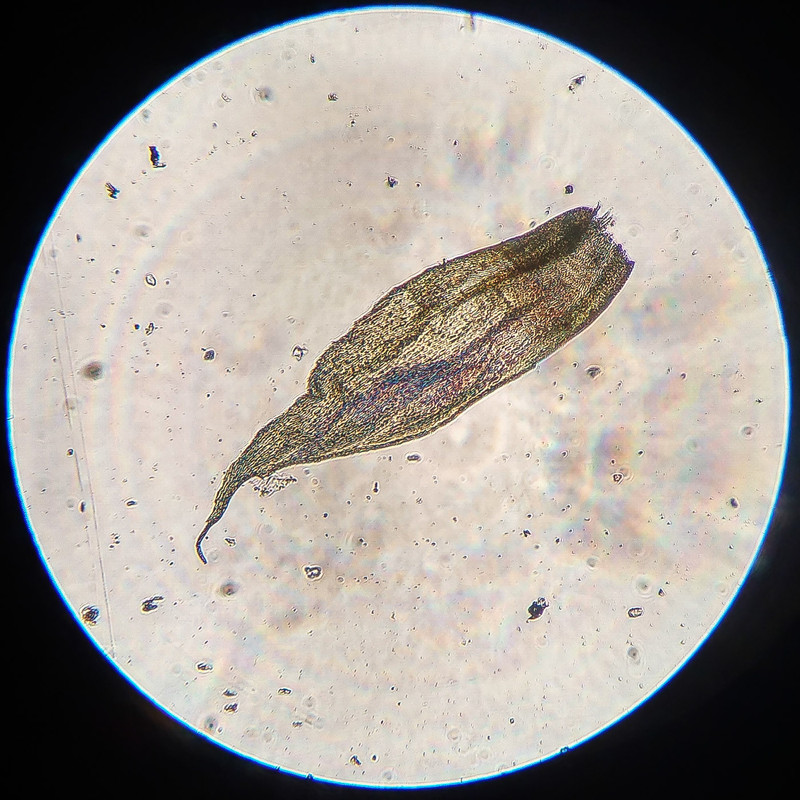 IMG 20250616 212731 HDR