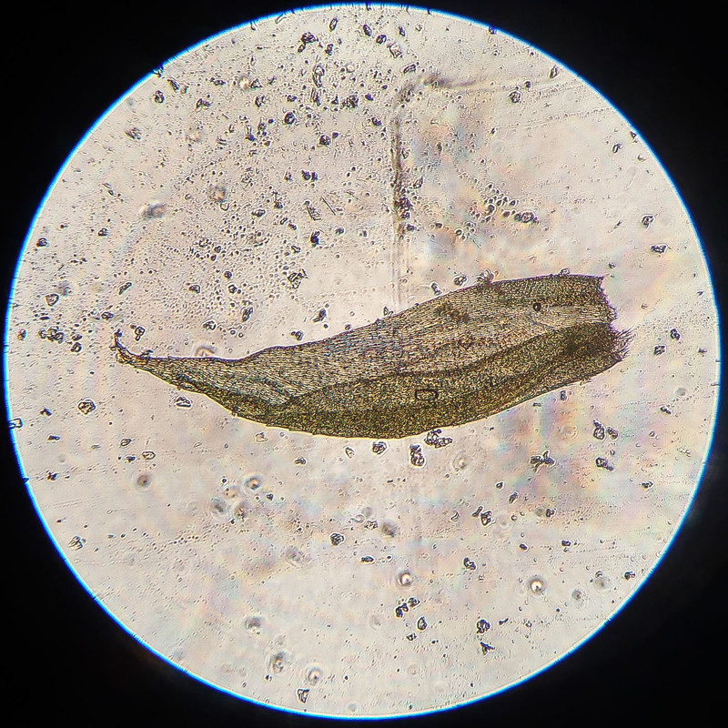 IMG 20250616 213002 HDR