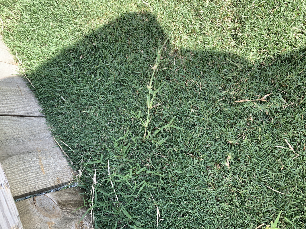 04945DC3-7C71-4743-AF4A-134CD48E2A67