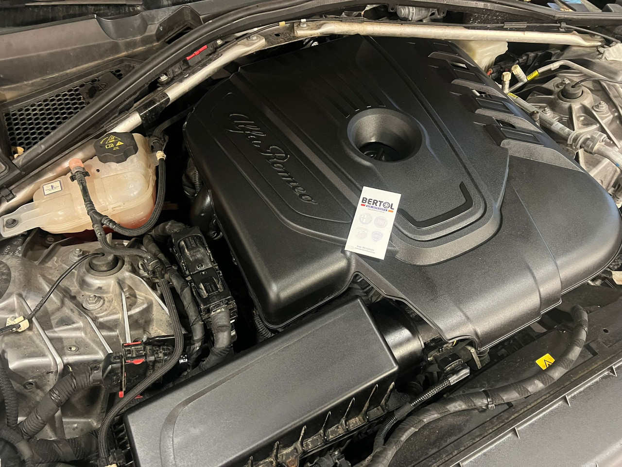 301fc706 f7bd 403f 95c8 6e6efdf1deac