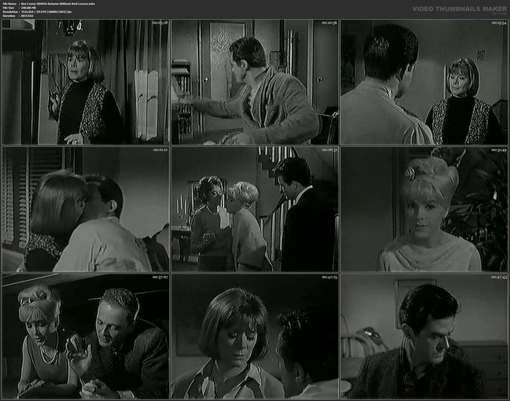 Ben Casey S04E04 Autumn Without Red Leaves.mkv