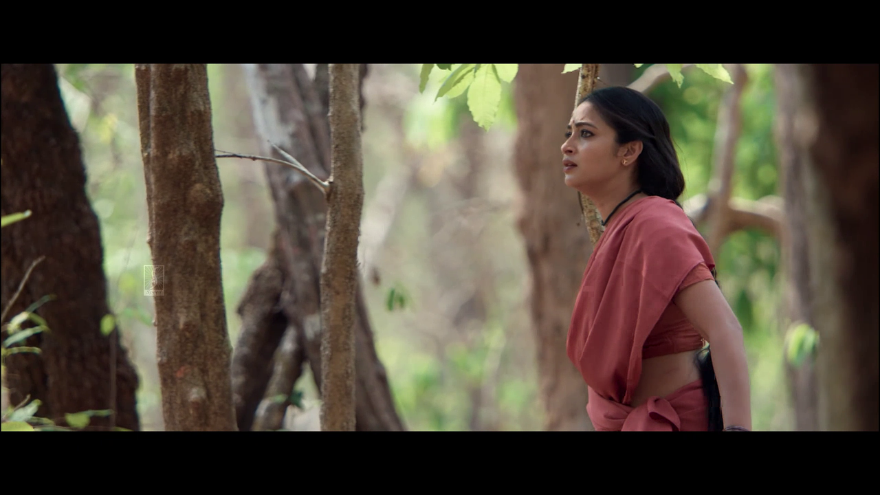 vlcsnap 2025 11 02 13h50m34s016