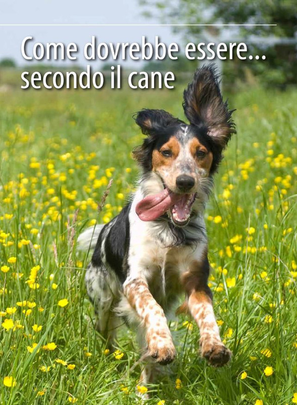 Il M C Lug-Ago 2024 (6)