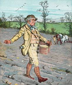 1027708-farmer-sowing-seed-broadcast