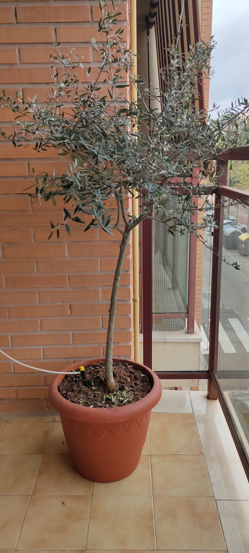 IMG20200318101940