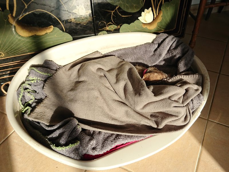 [Image: DSC-2657.jpg]