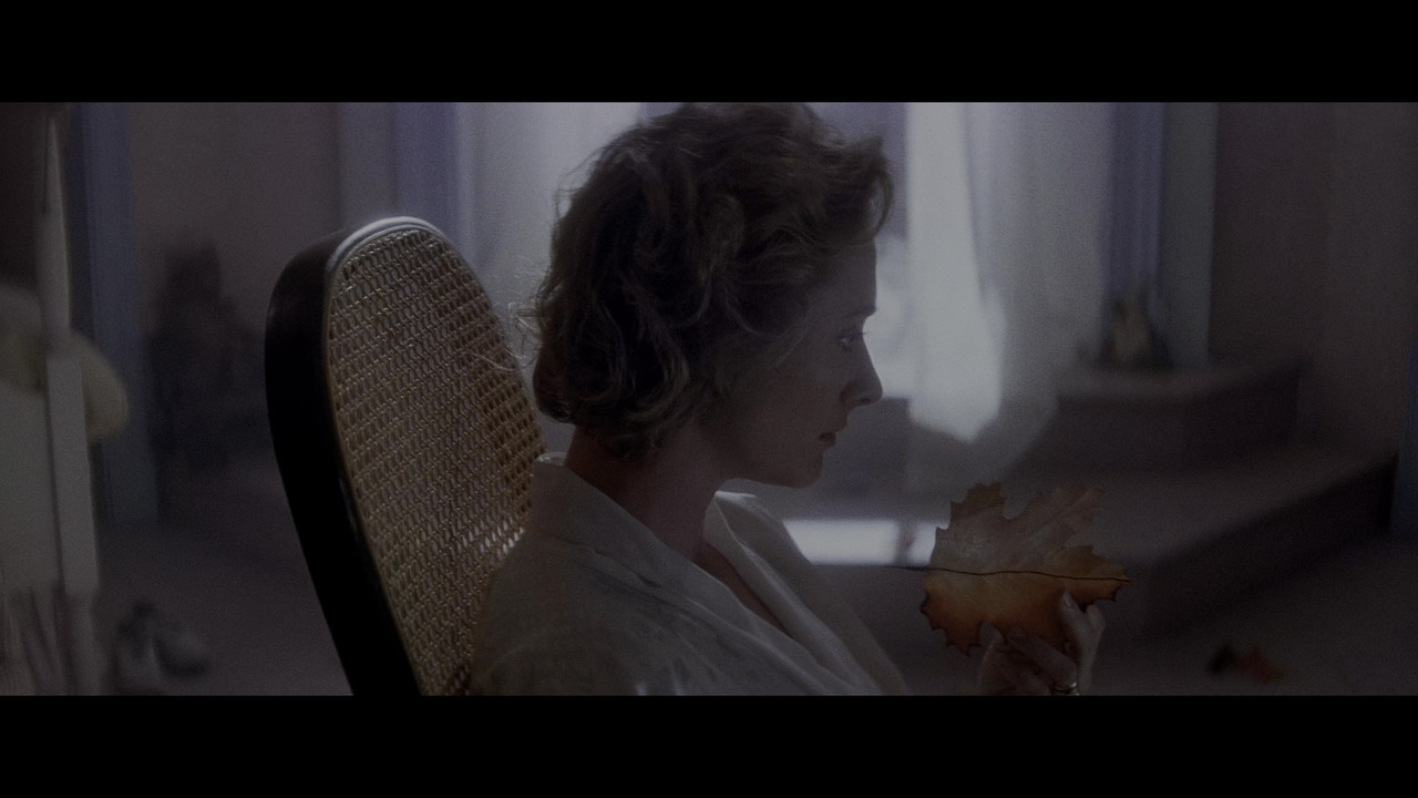 vlcsnap 2026 02 24 16h04m02s601