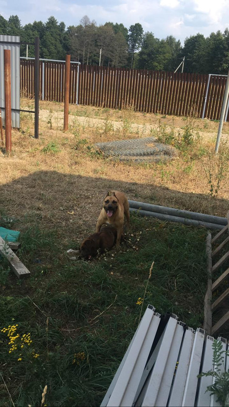 WhatsApp Image 2022-08-26 at 14.16.39 (1)