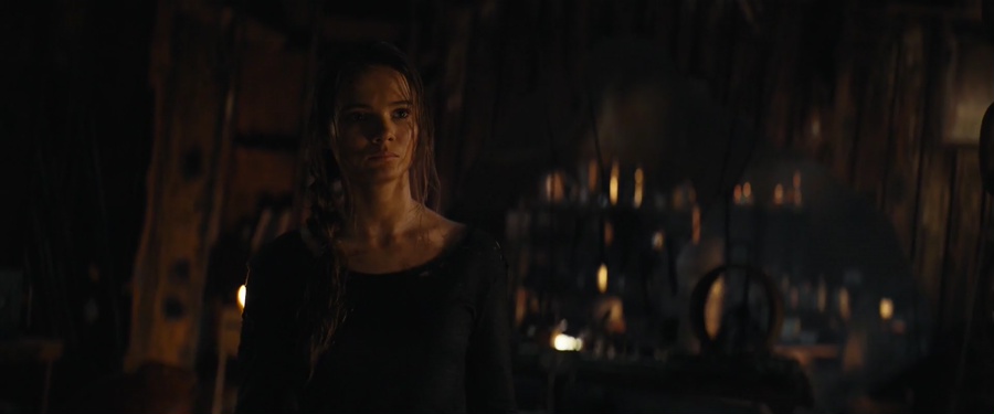 Kingdom of the Planet of the Apes 2024 WebRip [Hindi + Tamil + Telugu + English] 480p, 720p, 1080p ESub Screenshot