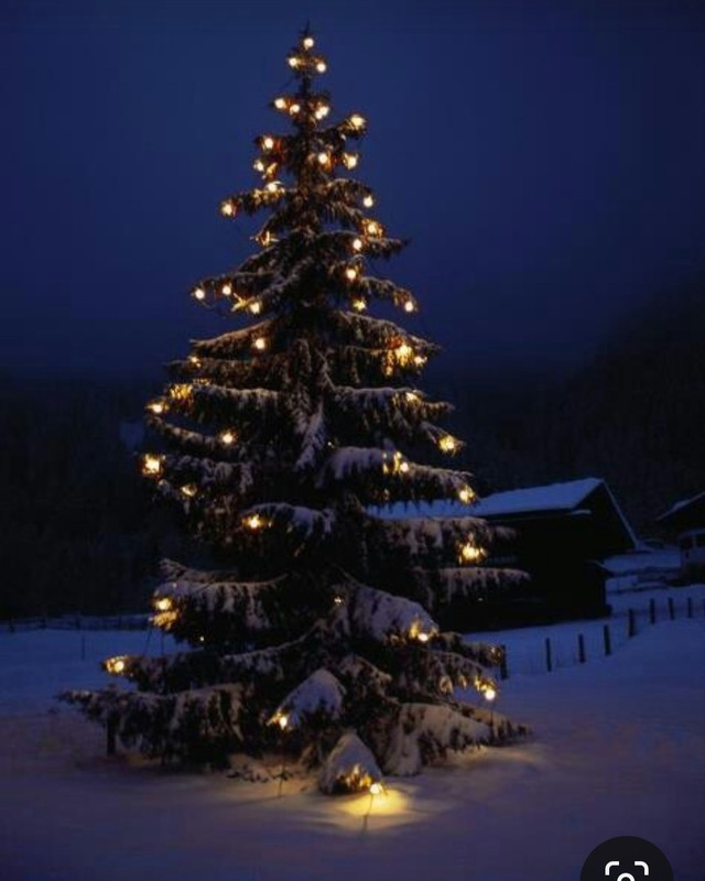 Screenshot_20231017_190856_Pinterest