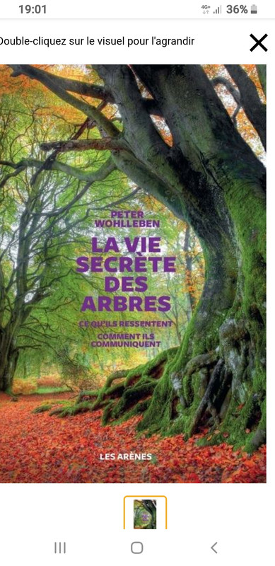 Jeu de la petite vortex :