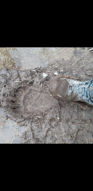 Screenshot_20221017-043039_WhatsApp