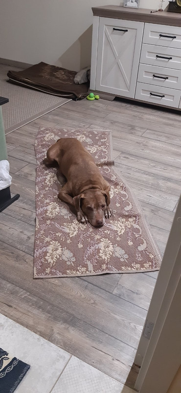 IMG-b5079b68480ea2e60625bbf83ea66329-V