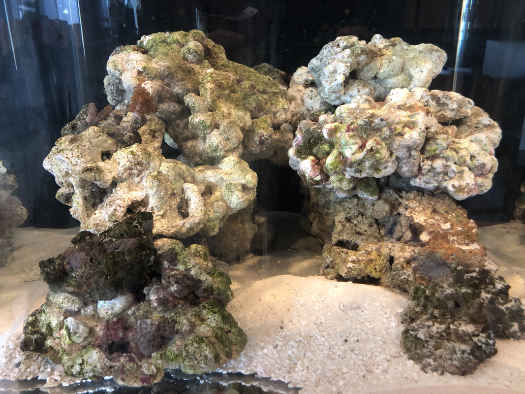 6332CA9F-5CDA-4FF3-B97B-910A25D5EE35