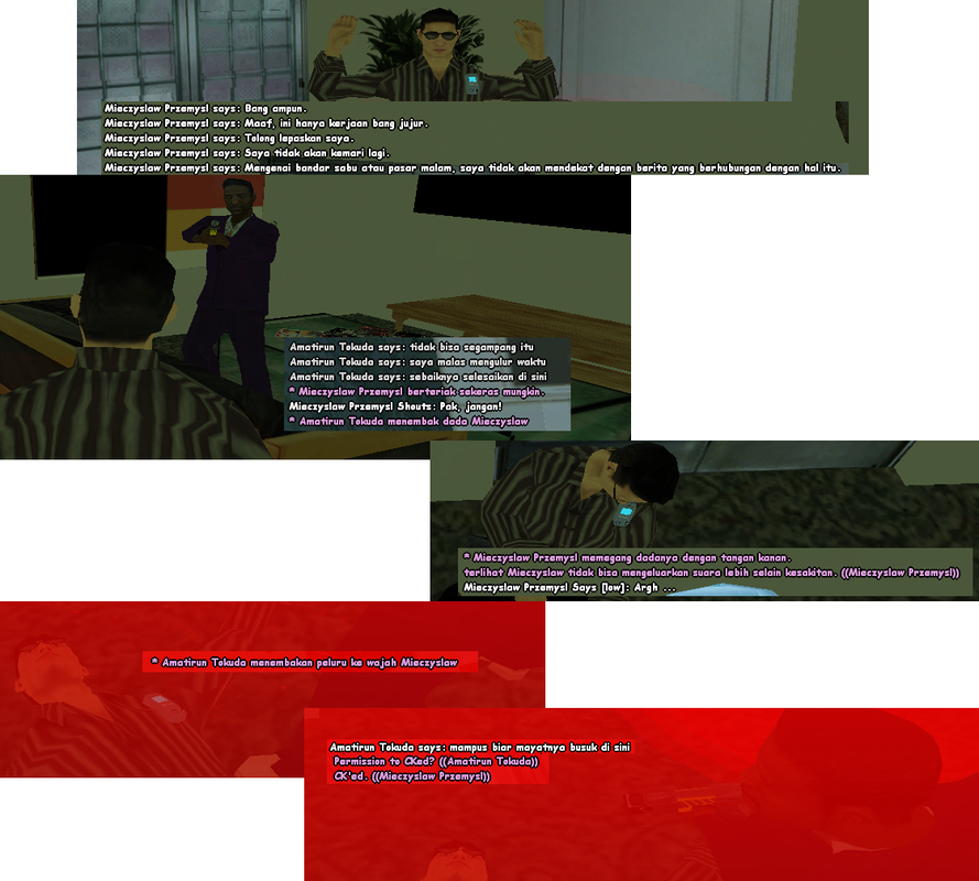 SS5.png