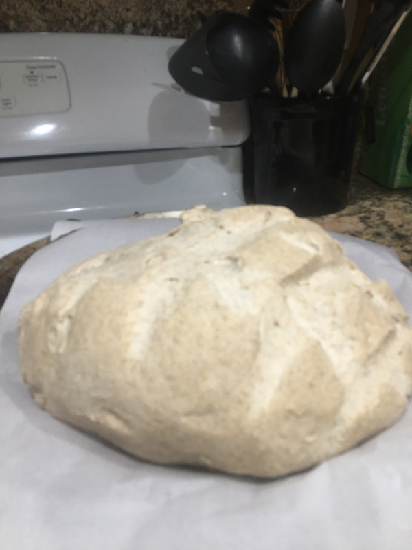 97B931FB-A9C4-43D1-8CC5-AF913A2188F1