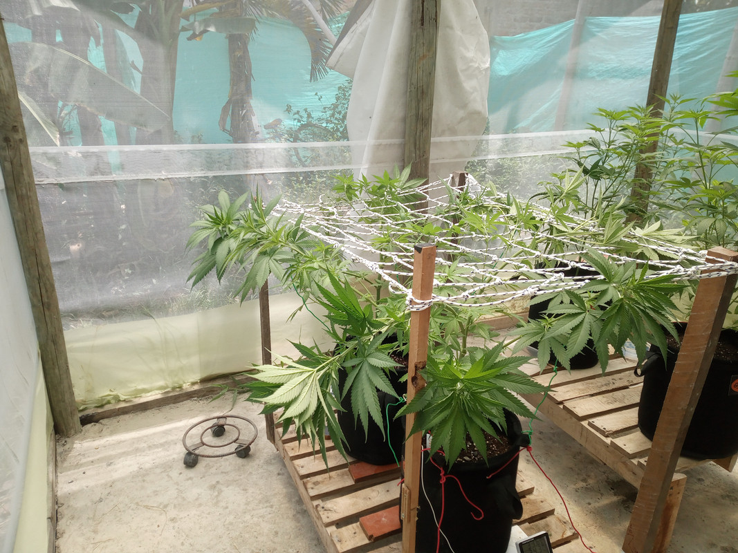 IMG_20230509_113440_038