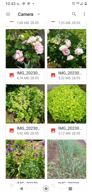 Screenshot_20230601-104335