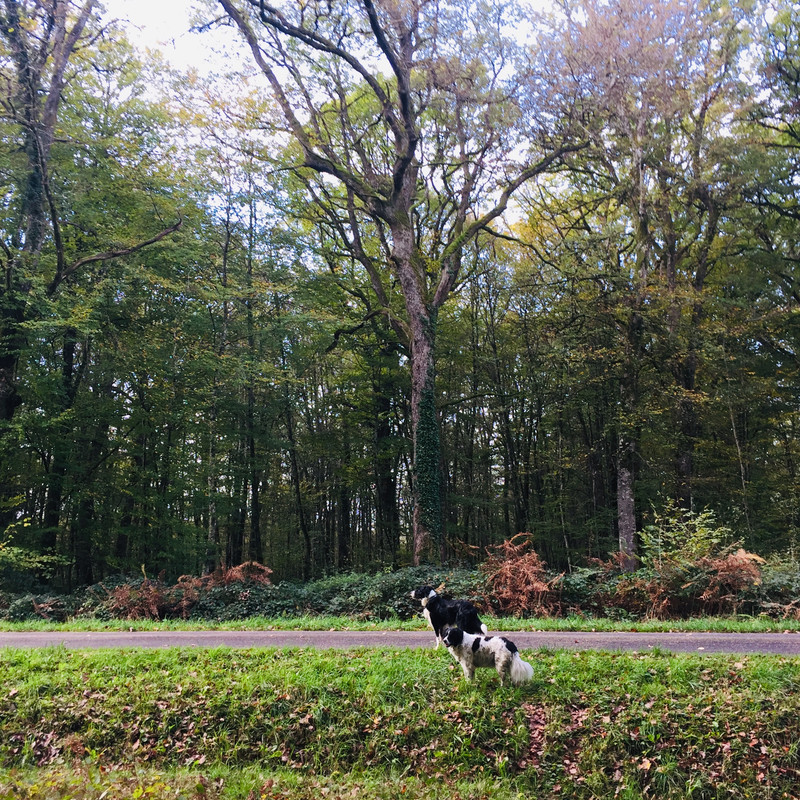 250D3C66-BB2F-42C9-BB11-DD794F733892